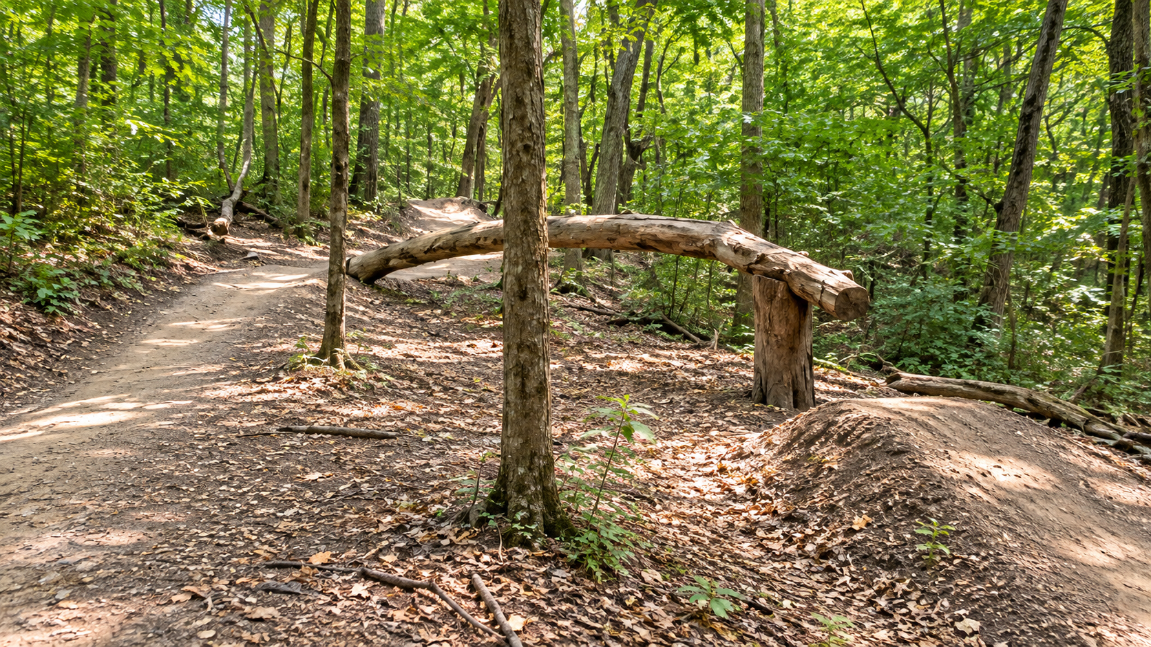 Mountain bike trails at Sunfish Lake Park