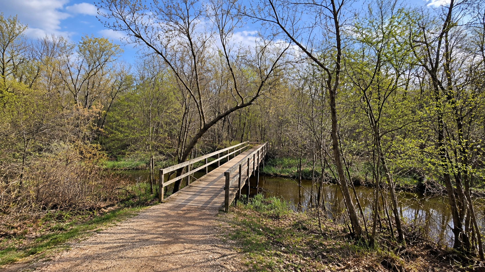 Mountain bike trails at Bertram Chain of Lakes