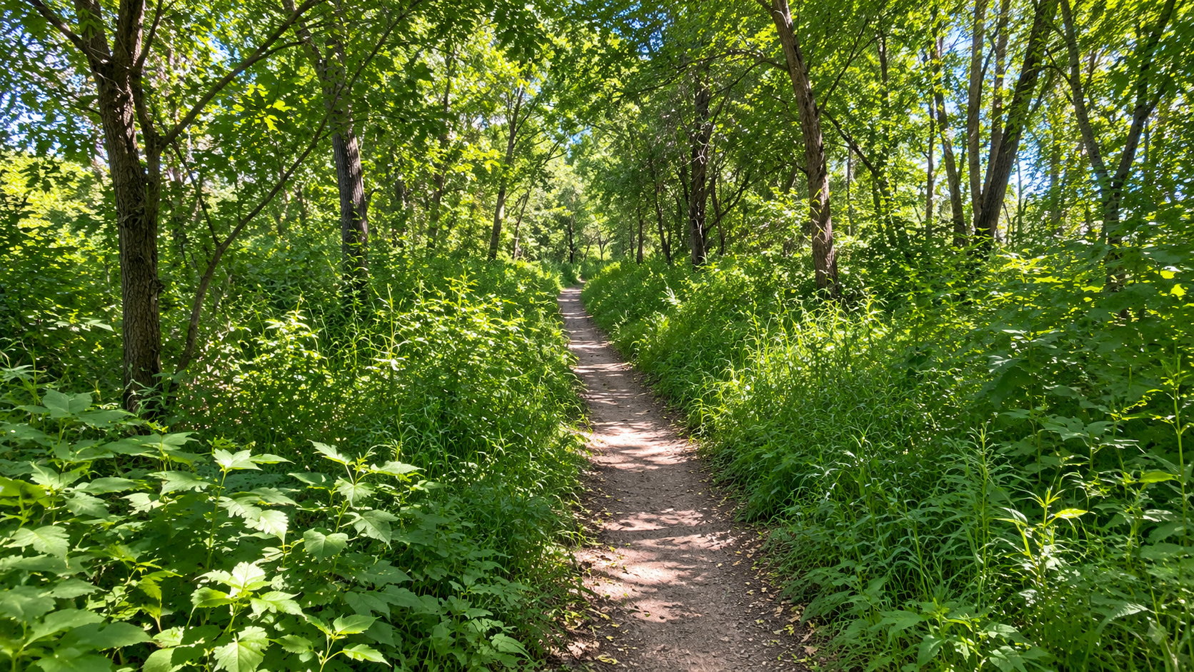 Mountain bike trails at Minnesota River Bottoms