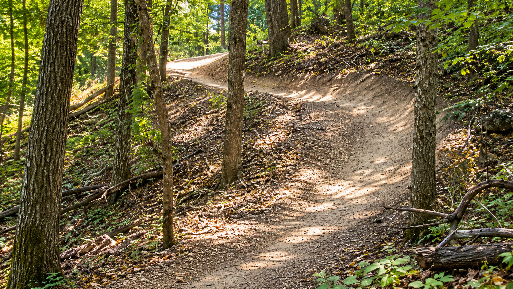 Mountain bike trails at Winona