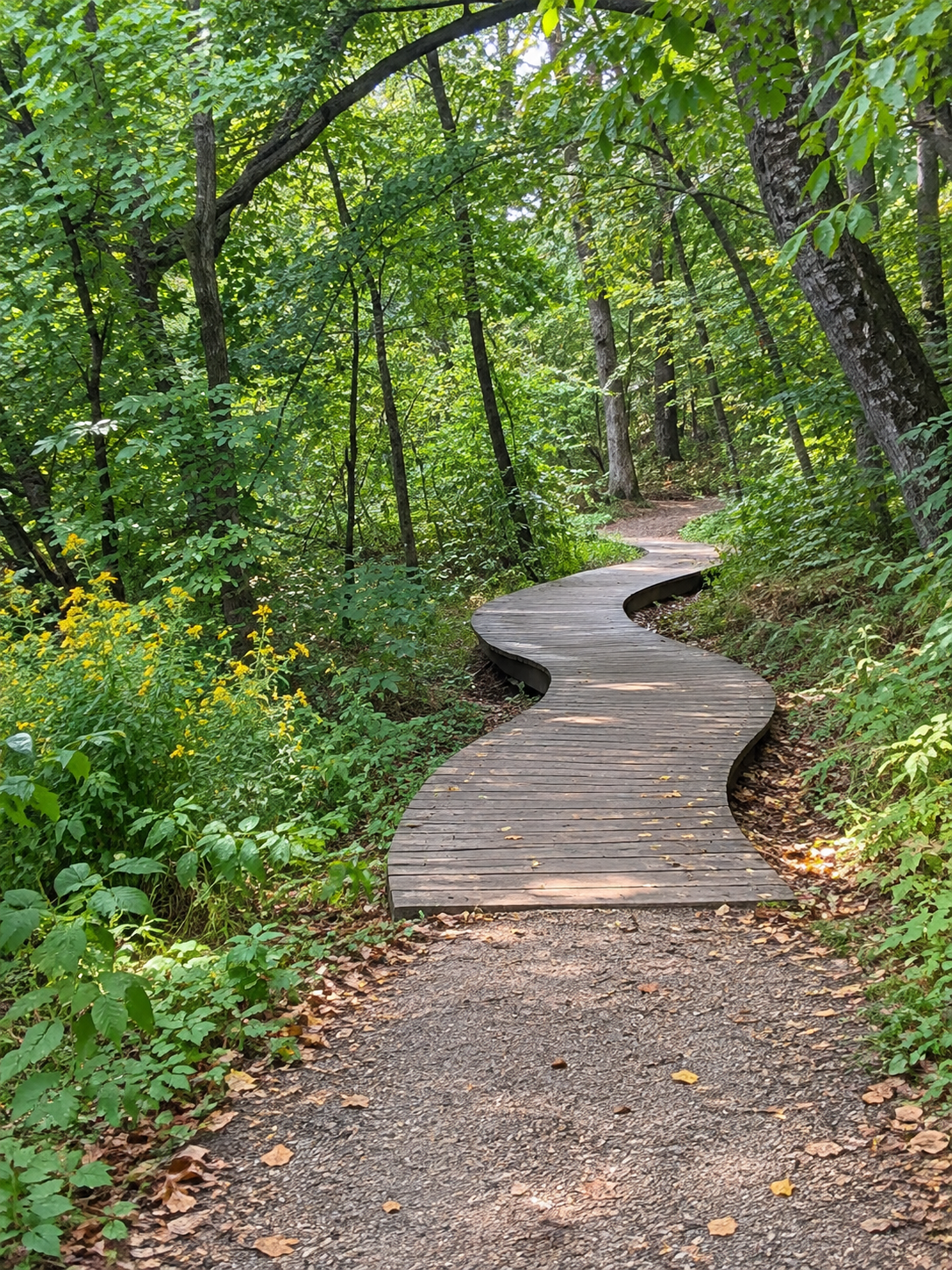Mountain bike trails at Lebanon Hills