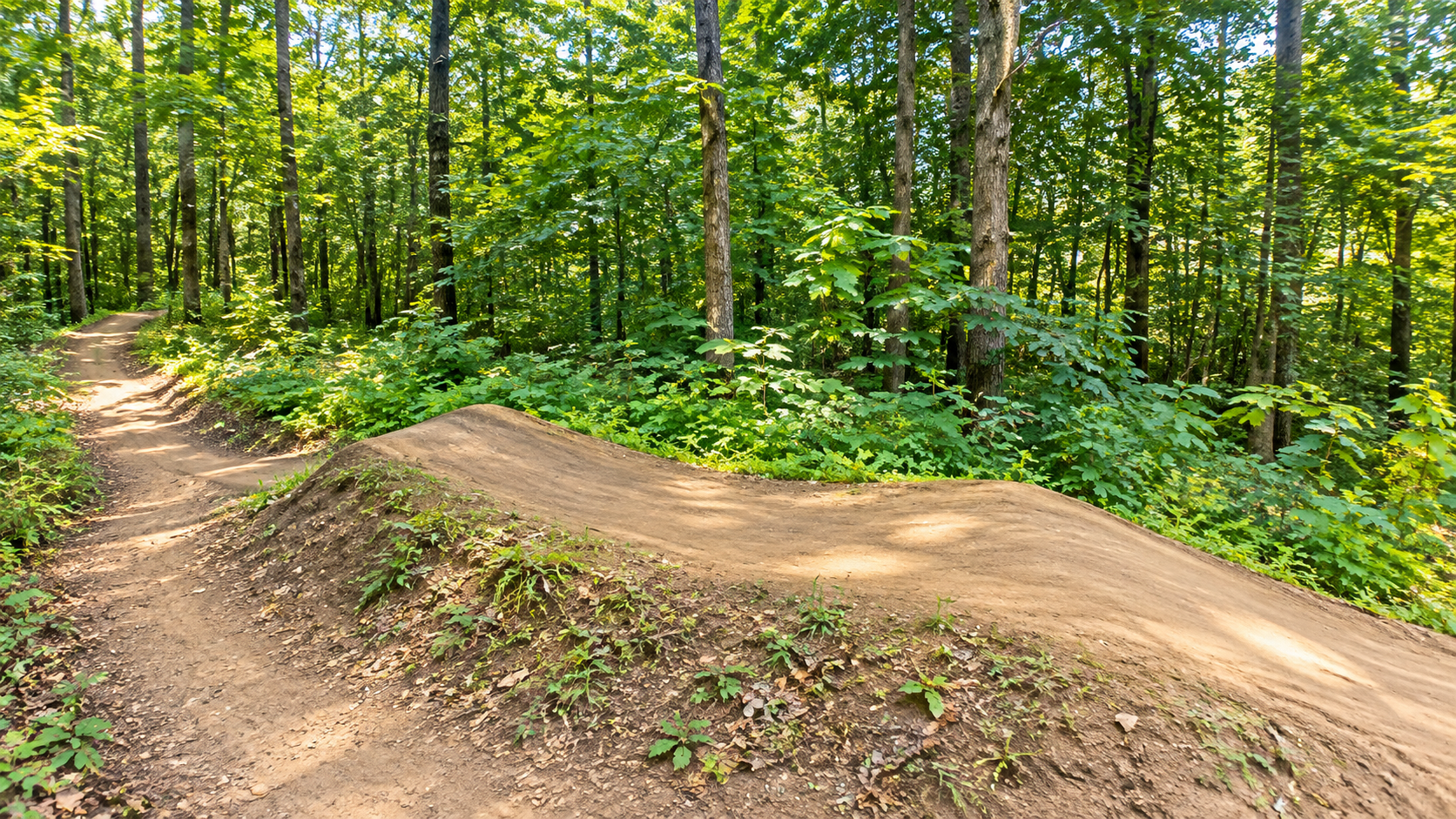 Mountain bike trails at Rice Creek Chain of Lakes